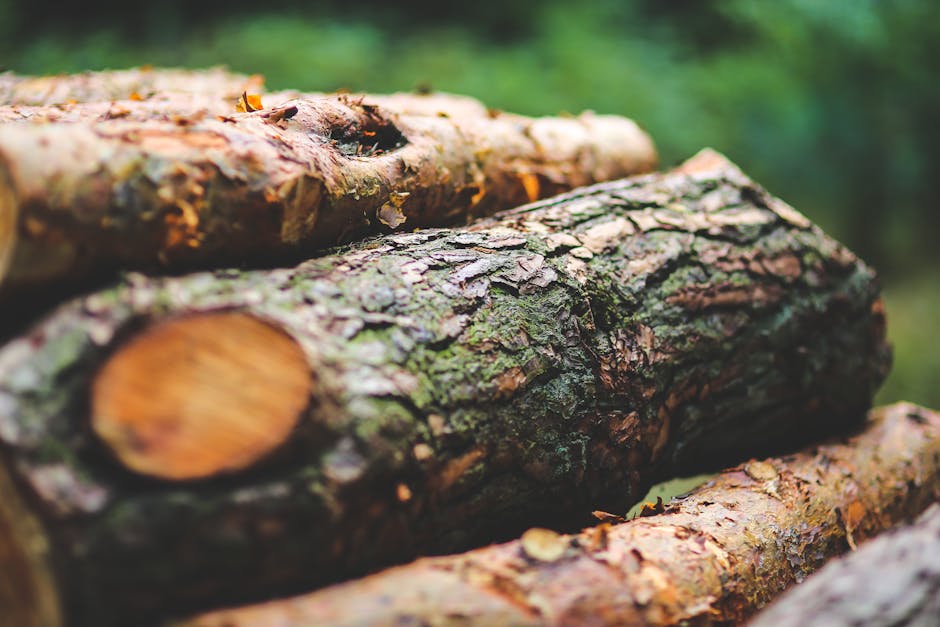 Close-up photograph of several logs stacked outdoors, showing rough, bark-covered surfaces with patches of moss and peeling bark revealing the lighter wood underneath. The logs vary in size and are positioned horizontally, with some partly overlapping each other, set against a blurred green background that suggests a natural, wooded environment. The lighting highlights the texture of the bark, emphasizing the rugged, uneven surfaces of the timber. This image captures the raw appearance of timber material, relevant to the context of furniture transport or disposal services as part of a home relocation process. At the bottom of the frame, the logs are stacked on the ground, indicating a staging area for removal or disposal, possibly associated with local council rules or bulk item collections managed by companies like Man with Van Crook Log, which provides professional removals and bulky-item disposal services.