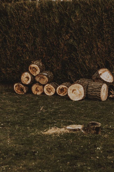 A pile of cut tree logs placed on a patch of grass outdoors, with the logs varying in size and showing fresh cut surfaces. Behind the logs, there is a dense hedge or shrubbery area. The logs are arranged on the ground, some resting directly on the grass and others leaning against each other. The scene is lit with natural daylight, and the setting appears to be a yard or garden environment. This image relates to home relocation or disposal services, reflecting conditions in a typical yard where logs might be collected for removal or disposal as part of house removals or clearance, as seen in the context of Crook Log's bulky-item disposal rules. Man with Van Crook Log may use such images to illustrate collection or disposal of bulky garden items during house removals or property clearance processes.