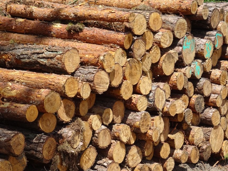 Close-up view of stacked logs with rough, textured bark, some with patches of snow resting on their surfaces, situated outdoors. The logs are arranged horizontally, with visible knots and natural irre