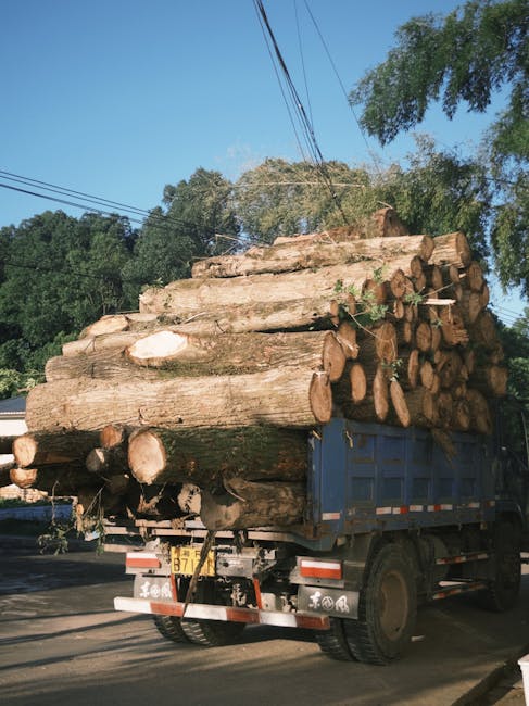 A blue flatbed truck transporting a large load of cut logs stacked horizontally and secured with straps, parked on a street near trees and overhead power lines. The logs vary in length and diameter, with some showing fresh cut surfaces. The truck is positioned close to a curb, with the logs extending beyond the truck's footprint. In the background, tall green trees and a clear blue sky are visible. This scene illustrates the transportation phase of home relocation or furniture transport, which may be part of a wider moving or removal service process provided by Man with Van Crook Log. The image highlights the use of equipment such as straps for securing logs during loading or unloading, and the outdoor environment typical of logistical moving activities related to house removals.