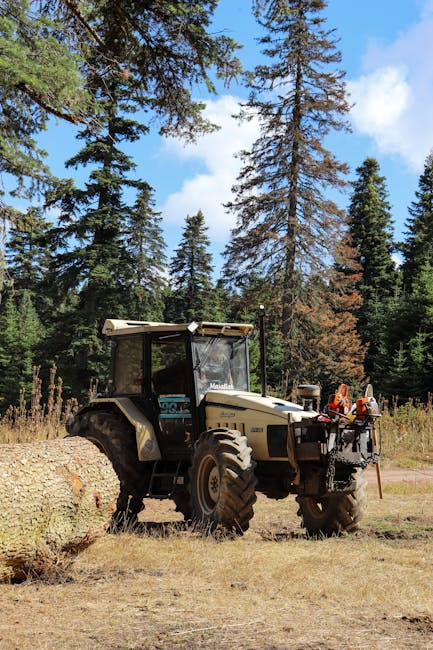 A blue flatbed truck transporting a large load of cut logs stacked horizontally and secured with straps, parked on a street near trees and overhead power lines. The logs vary in length and diameter, with some showing fresh cut surfaces. The truck is positioned close to a curb, with the logs extending beyond the truck's footprint. In the background, tall green trees and a clear blue sky are visible. This scene illustrates the transportation phase of home relocation or furniture transport, which may be part of a wider moving or removal service process provided by Man with Van Crook Log. The image highlights the use of equipment such as straps for securing logs during loading or unloading, and the outdoor environment typical of logistical moving activities related to house removals.