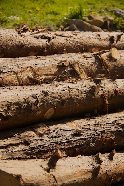 Close-up view of a stack of cut and peeled tree logs with rough, textured bark and fresh wood exposed, positioned outdoors on the pavement or ground. In the background, there is a grassy area with small rocks and a blurred natural landscape. The logs are arranged horizontally, some with jagged edges and others with smooth cut surfaces, indicating recent felled timber prepared for transportation or removal. This scene relates to the process of site clearance or preparing timber for moving, which may be part of a house removal or renovation project managed by a professional team such as Man with Van Crook Log, who specialise in relocation, furniture transport, and packing services.
